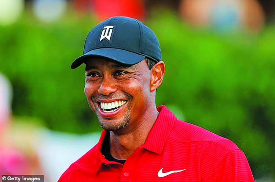 tiger woods portrait 0015
