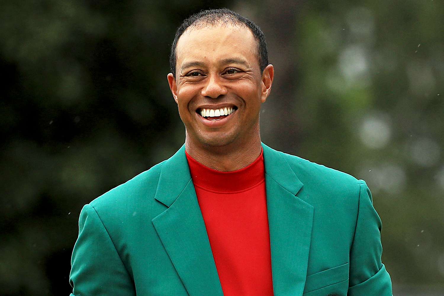 tiger woods portrait 0024