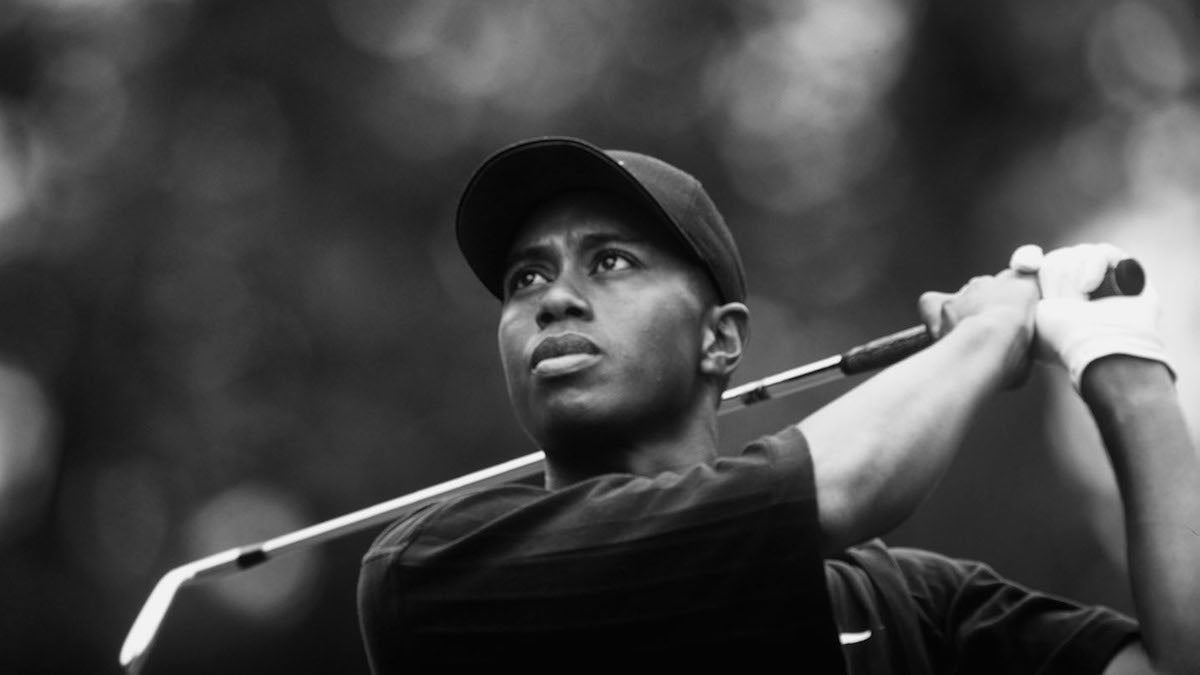 tiger woods portrait 0031