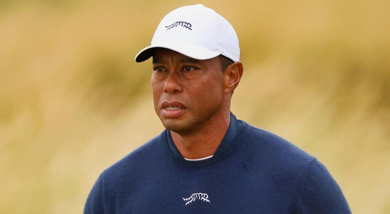tiger woods portrait 0047