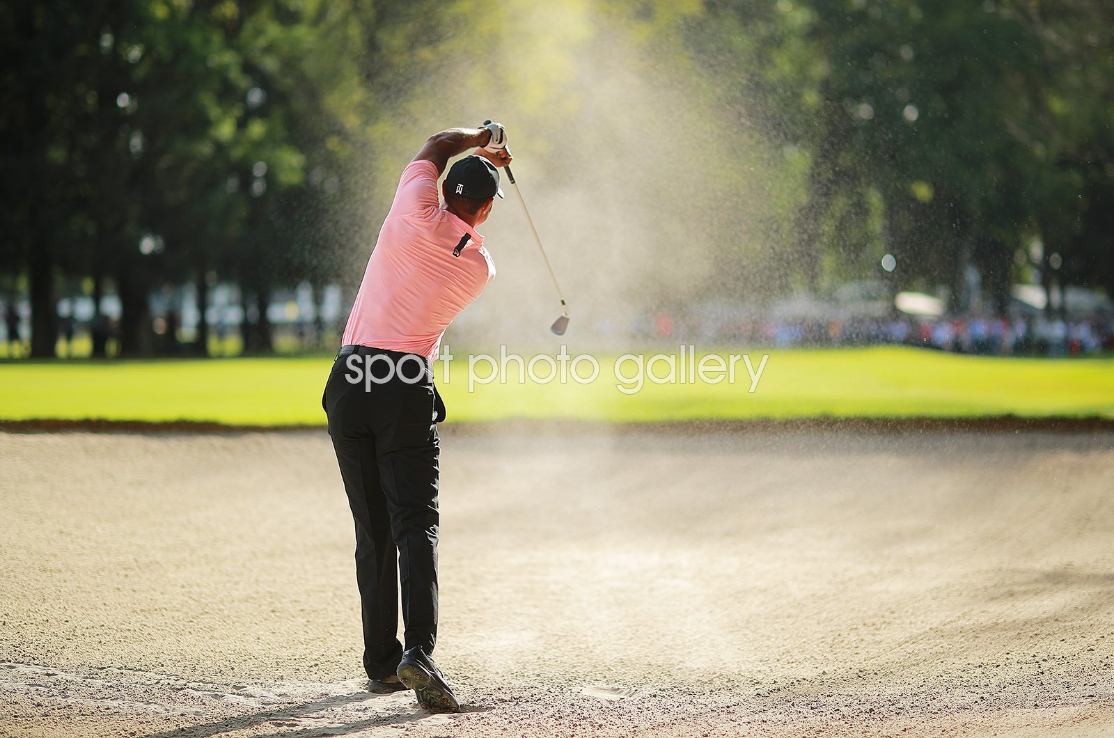 tiger woods short game