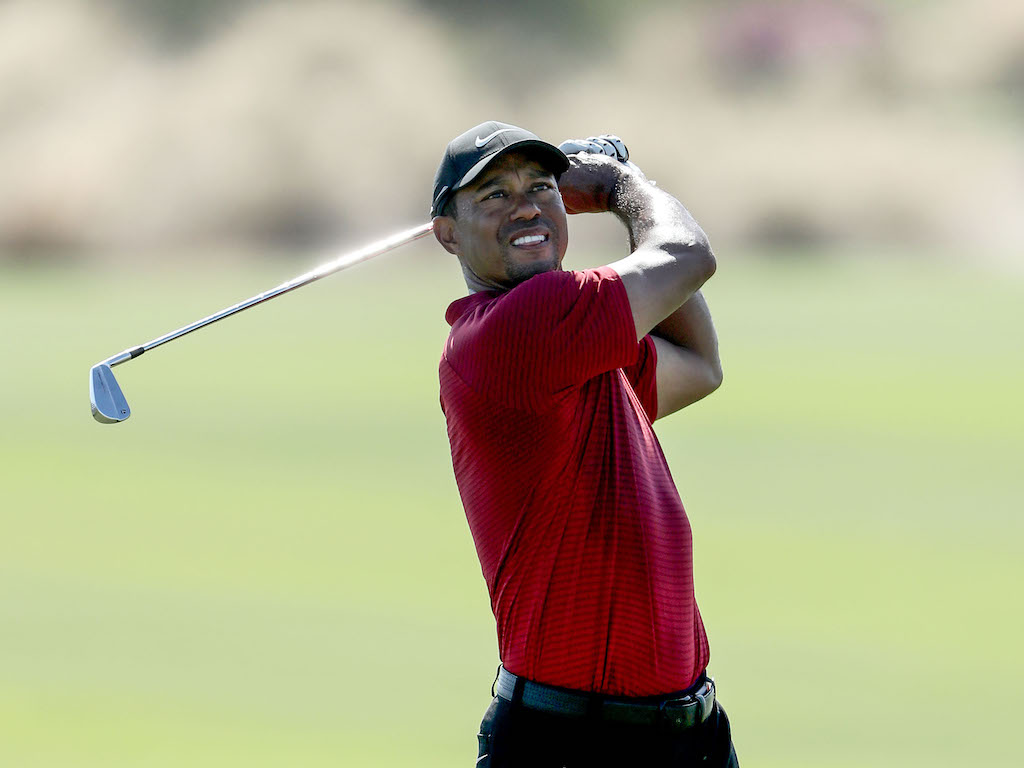 tiger woods torrey pines 0015
