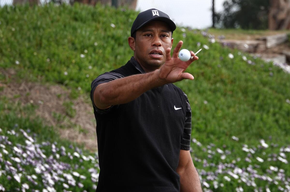 tiger woods torrey pines 0016