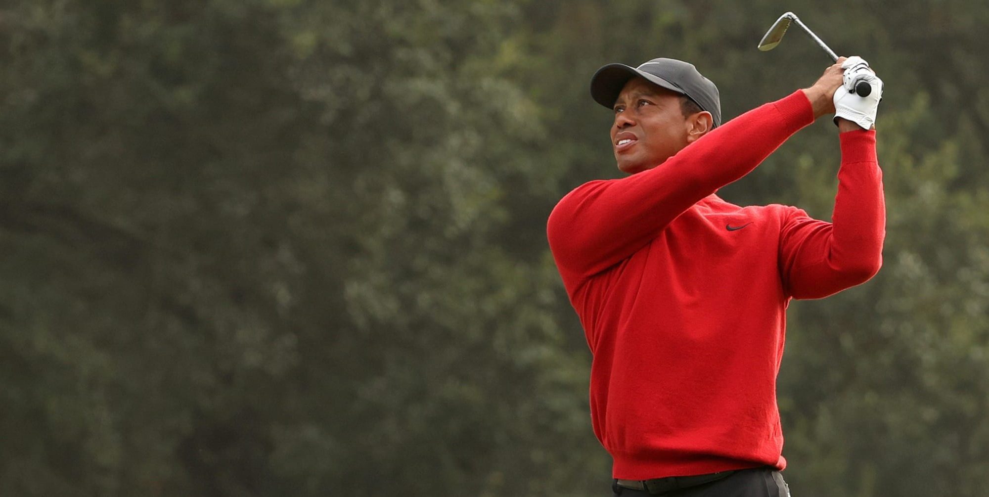tiger woods torrey pines 0019