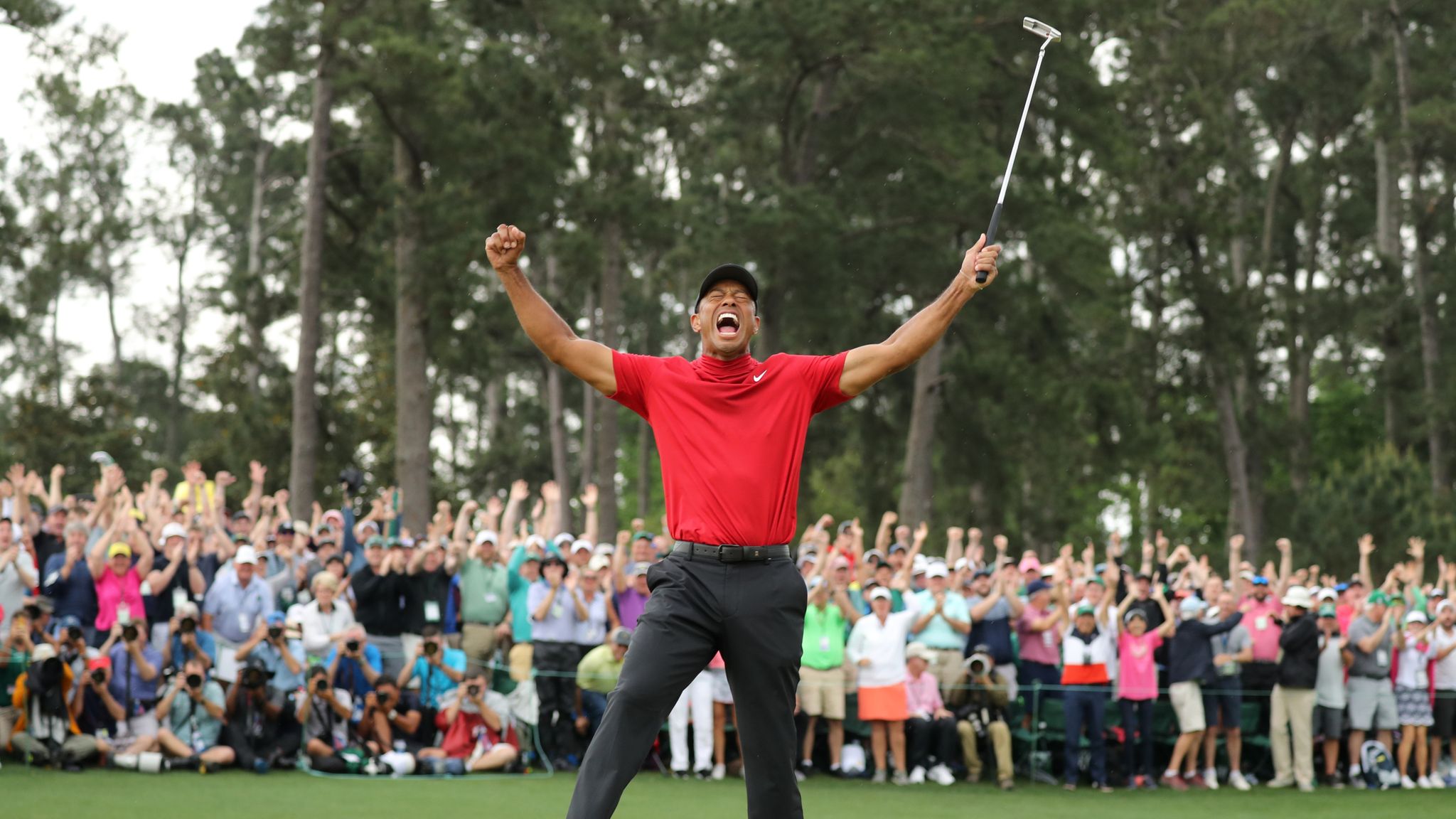 tiger woods wall decoration