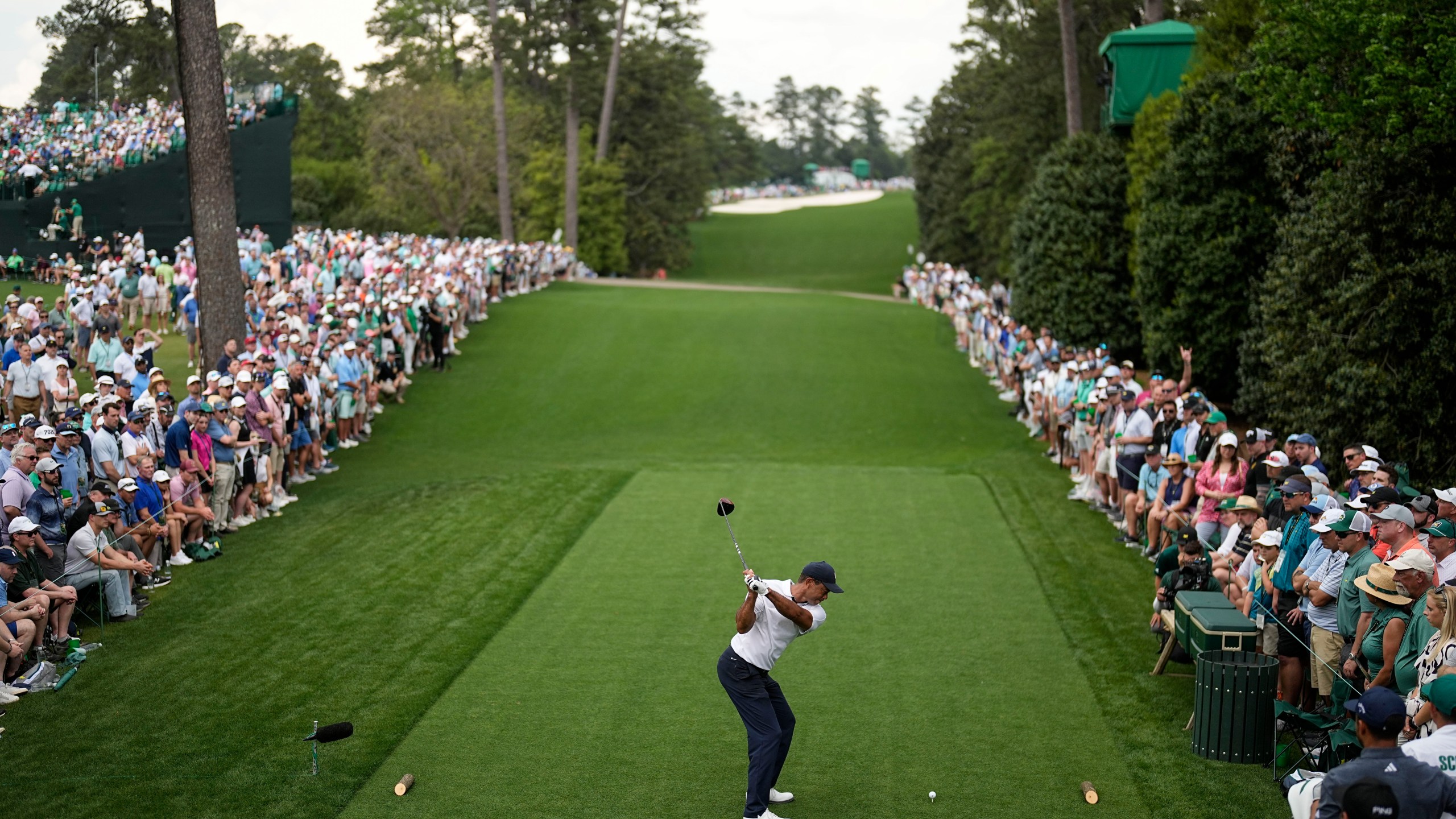 tiger woods wallpaper 0033