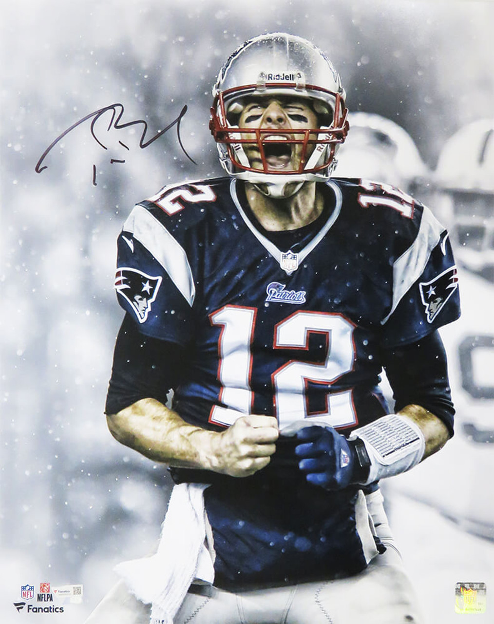 tom brady poster 0015