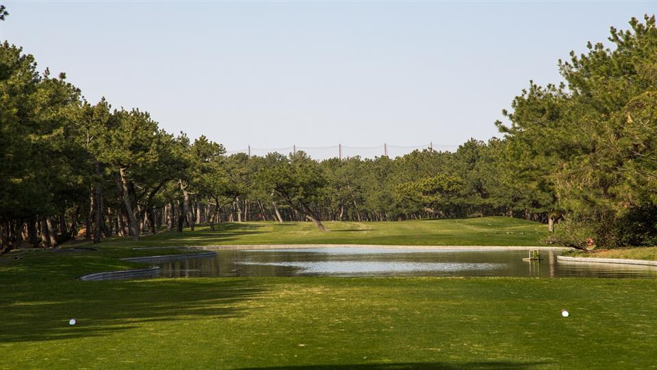 tom watson park photos 0016