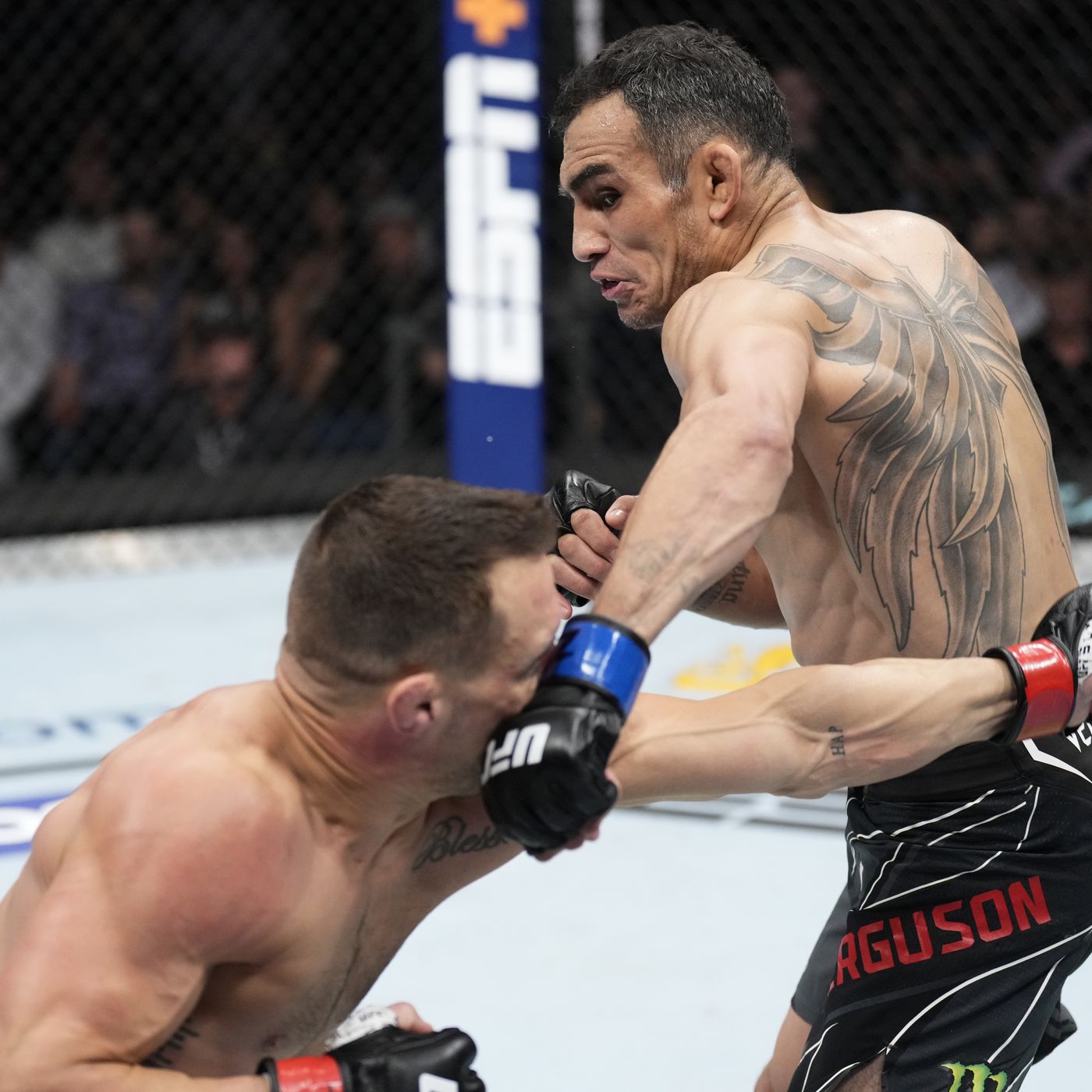 tony ferguson knockout photo 0011
