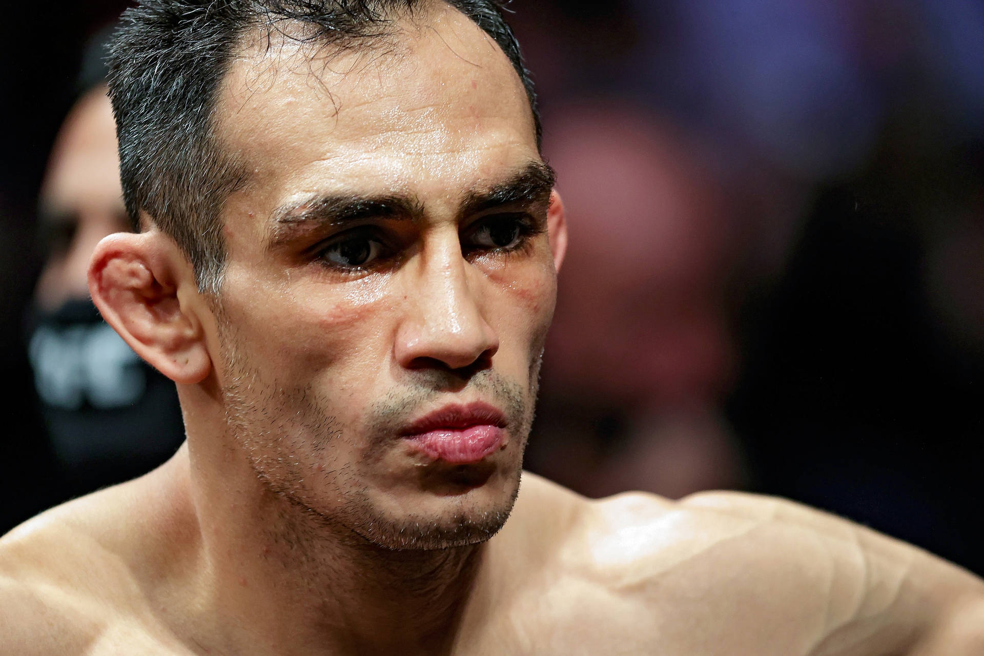 tony ferguson knockout photo 0044