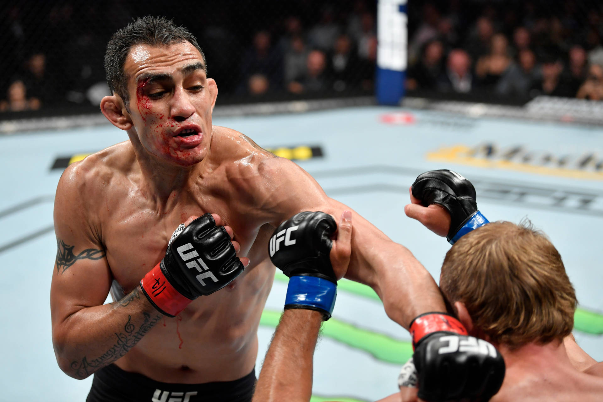 tony ferguson knockout photo 0048