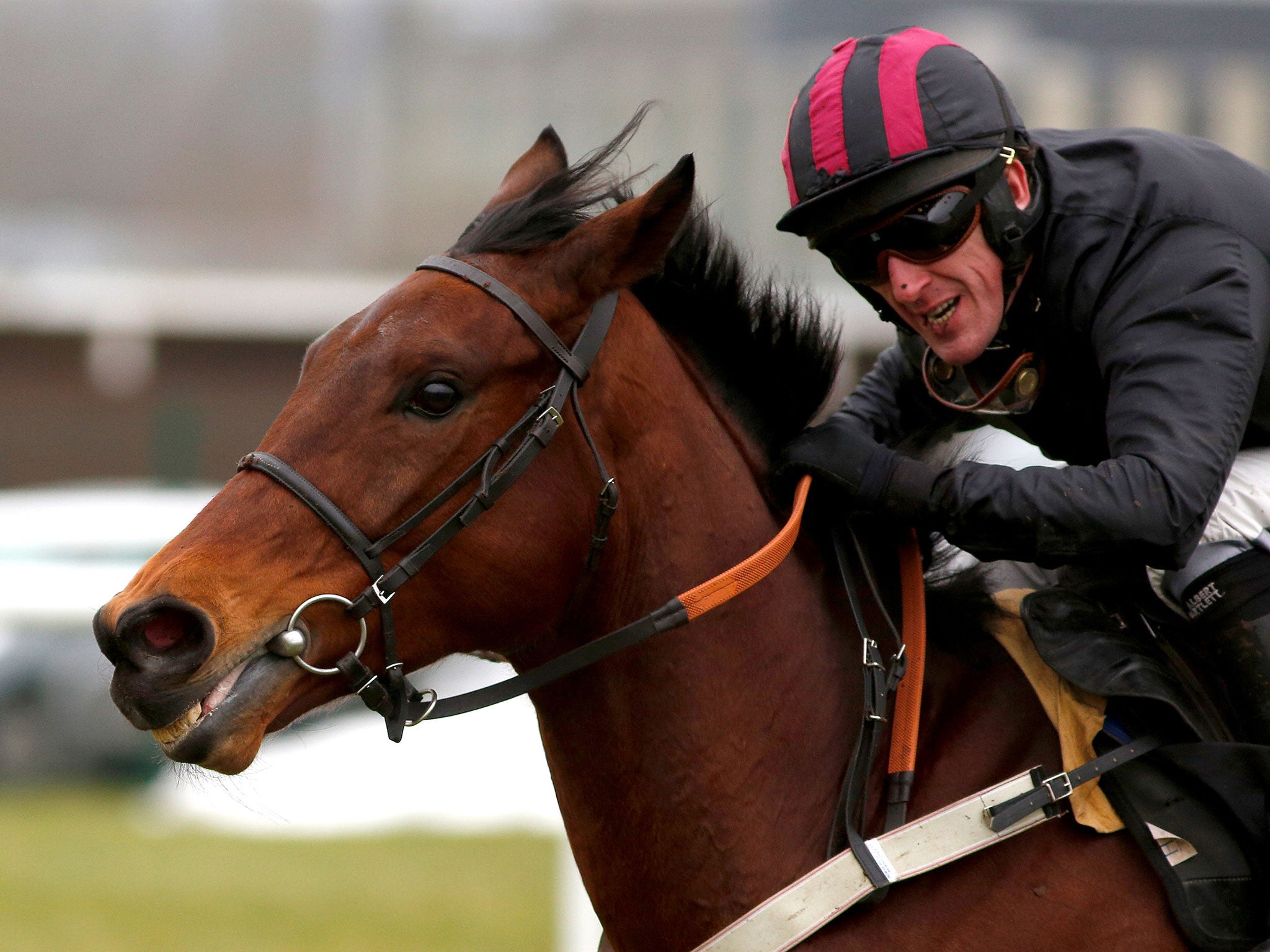 tony mccoy 0010