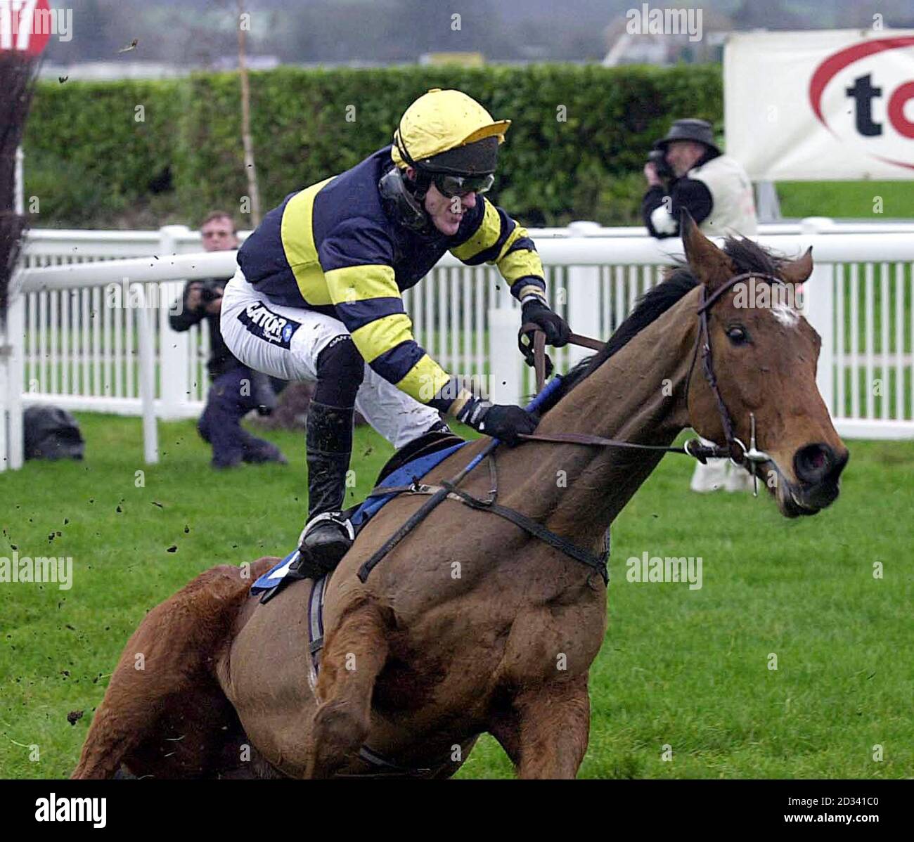 tony mccoy 0013