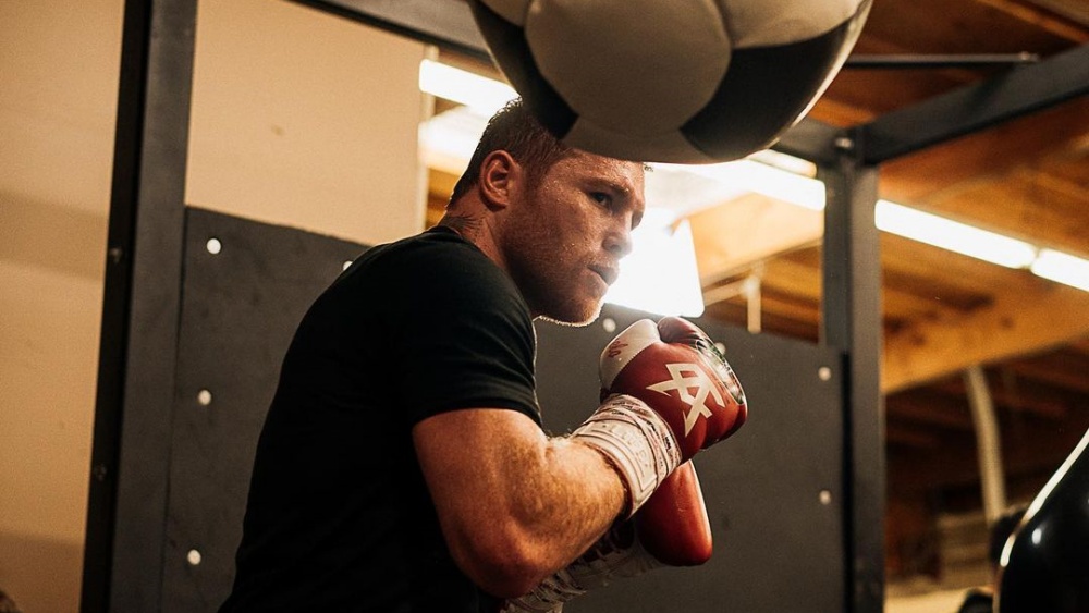 top 10 best boxer in the world 2023 0024