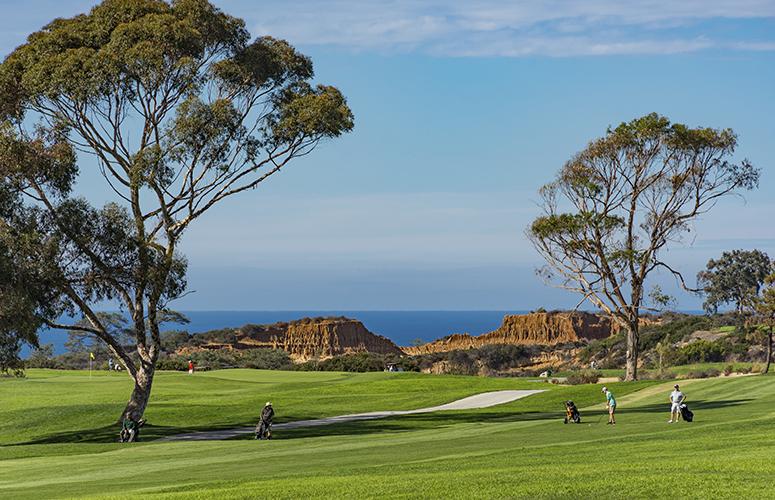 torrey pines images 0010