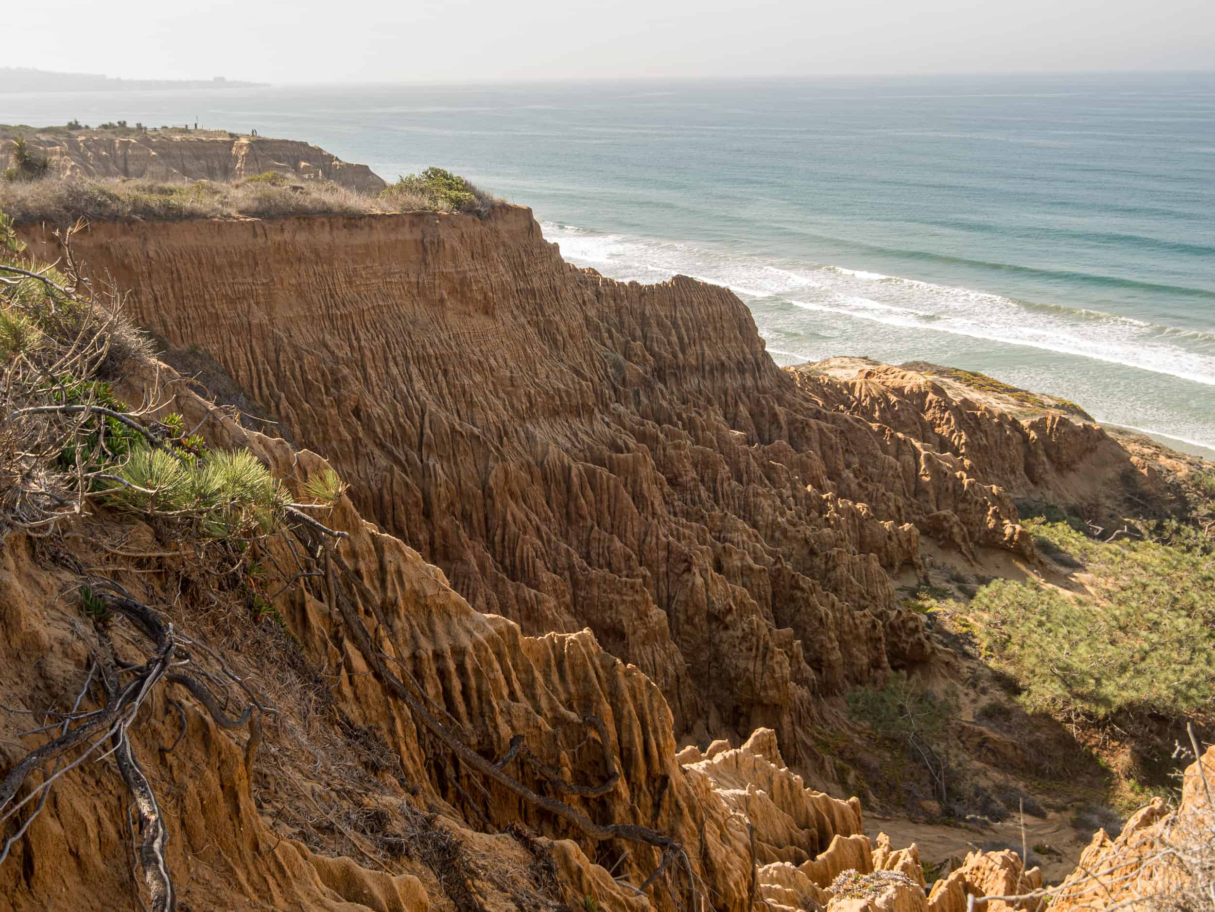 torrey pines images 0017