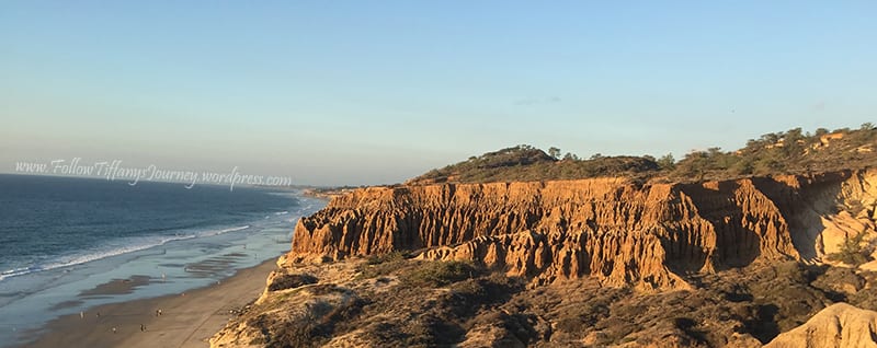 torrey pines images 0019