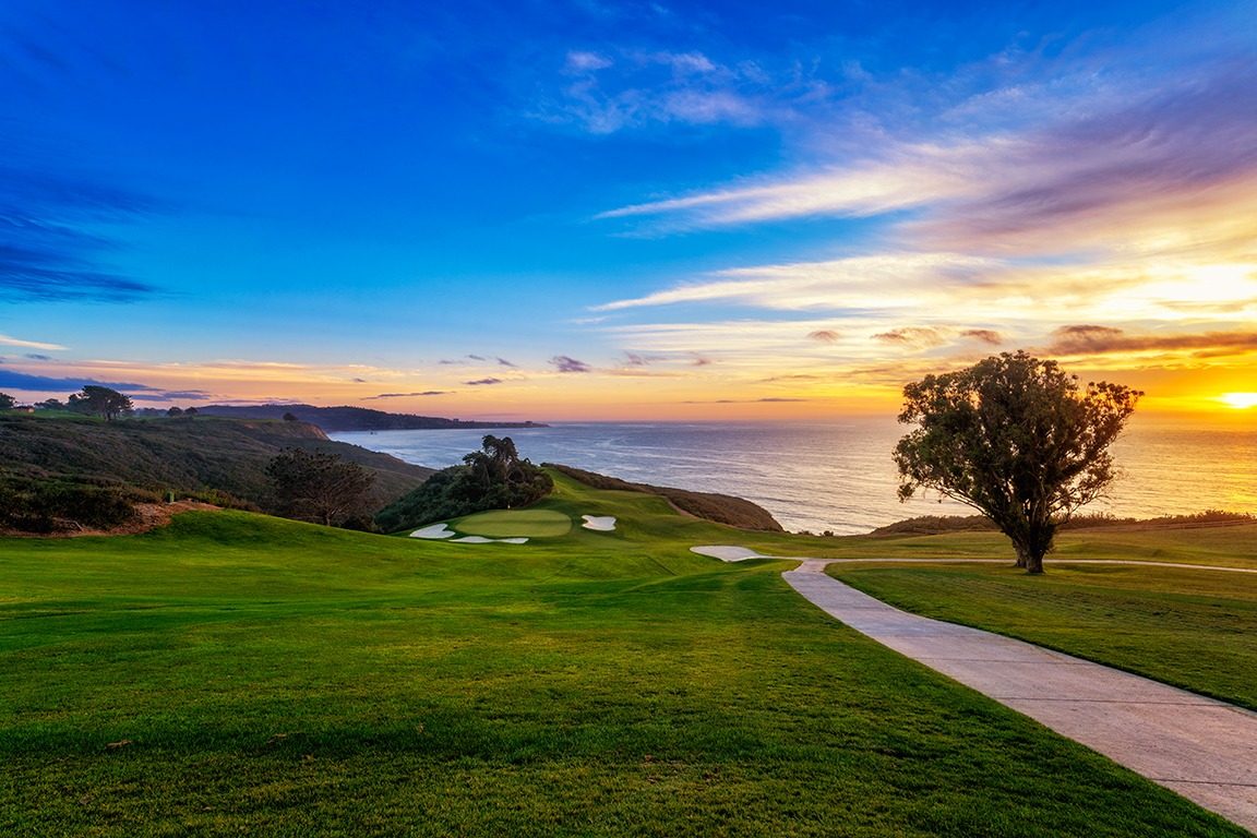 torrey pines images 0023
