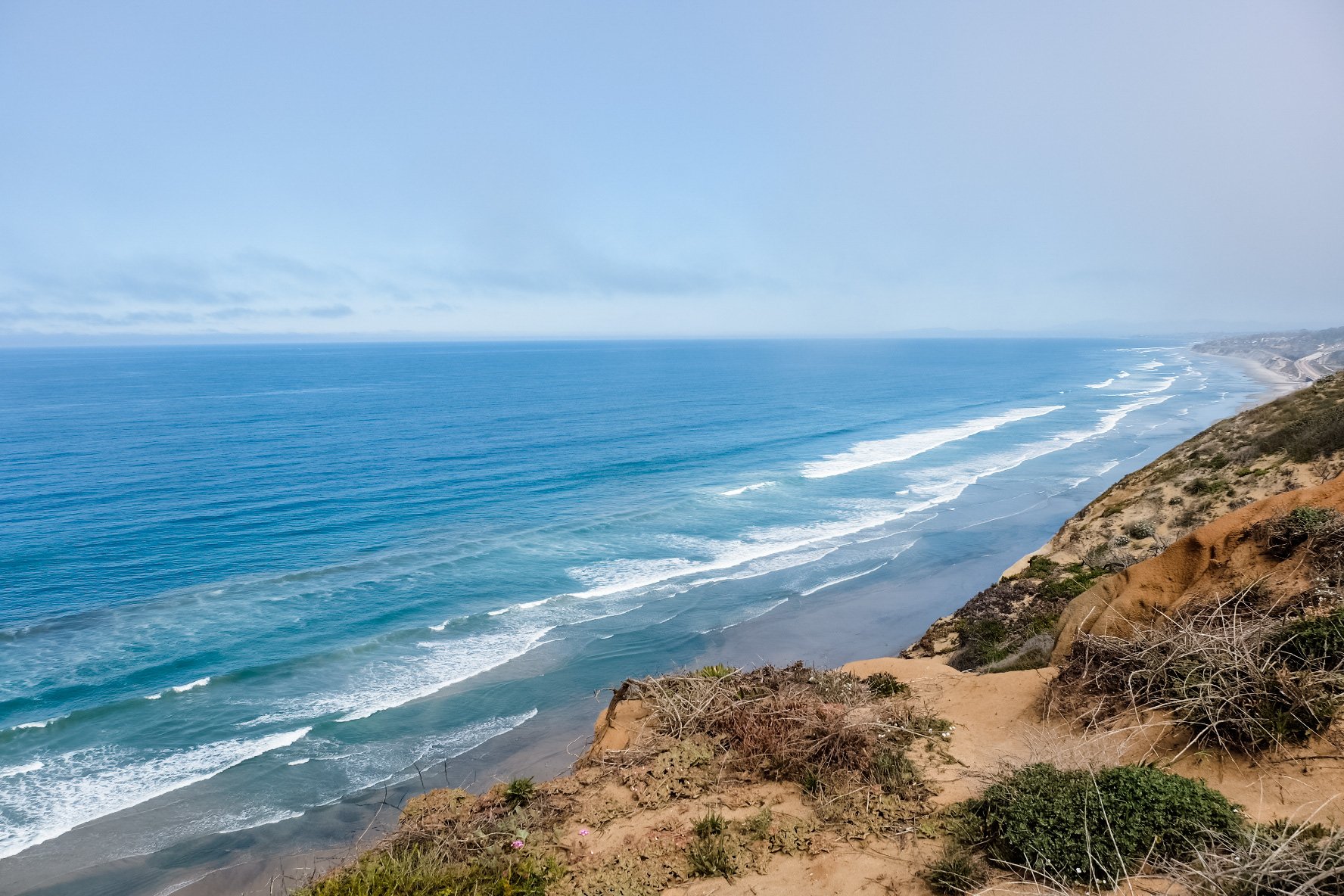 torrey pines images 0029