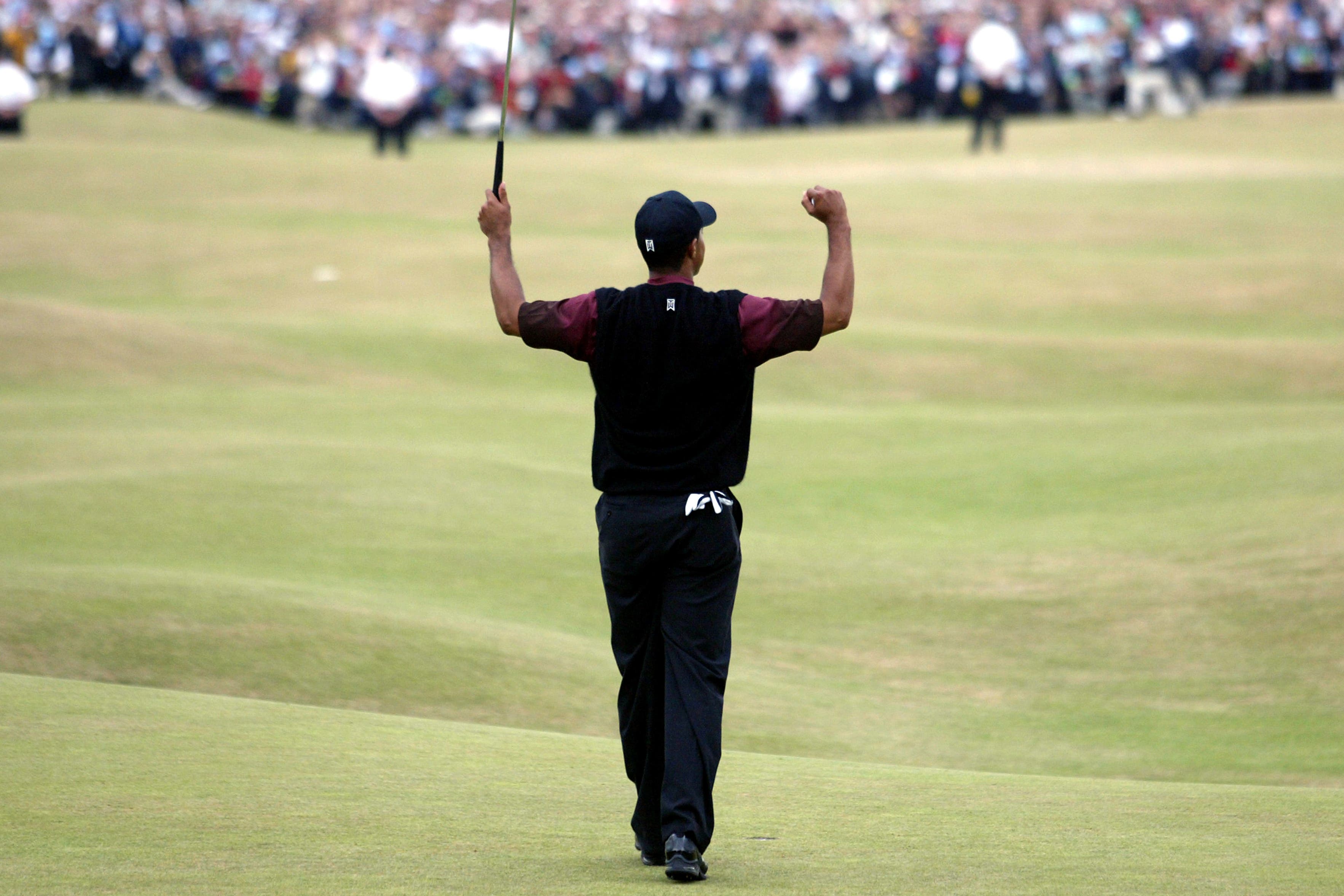 Torrey Pines round reviews.