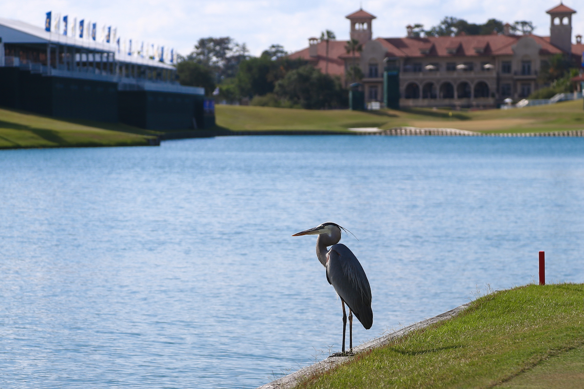 tpc ponte vedra 2023 0042