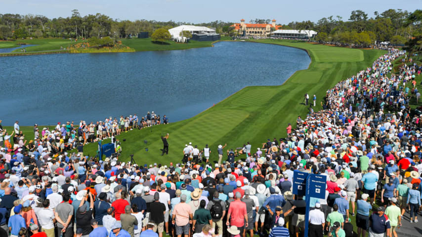 tpc florida 0046