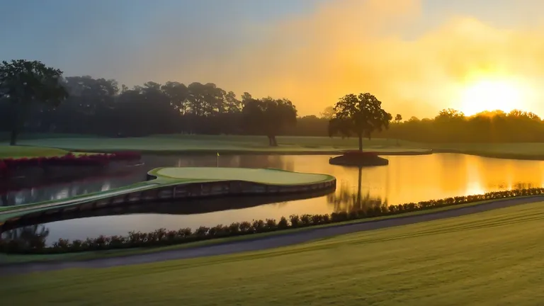 tpc florida 0018