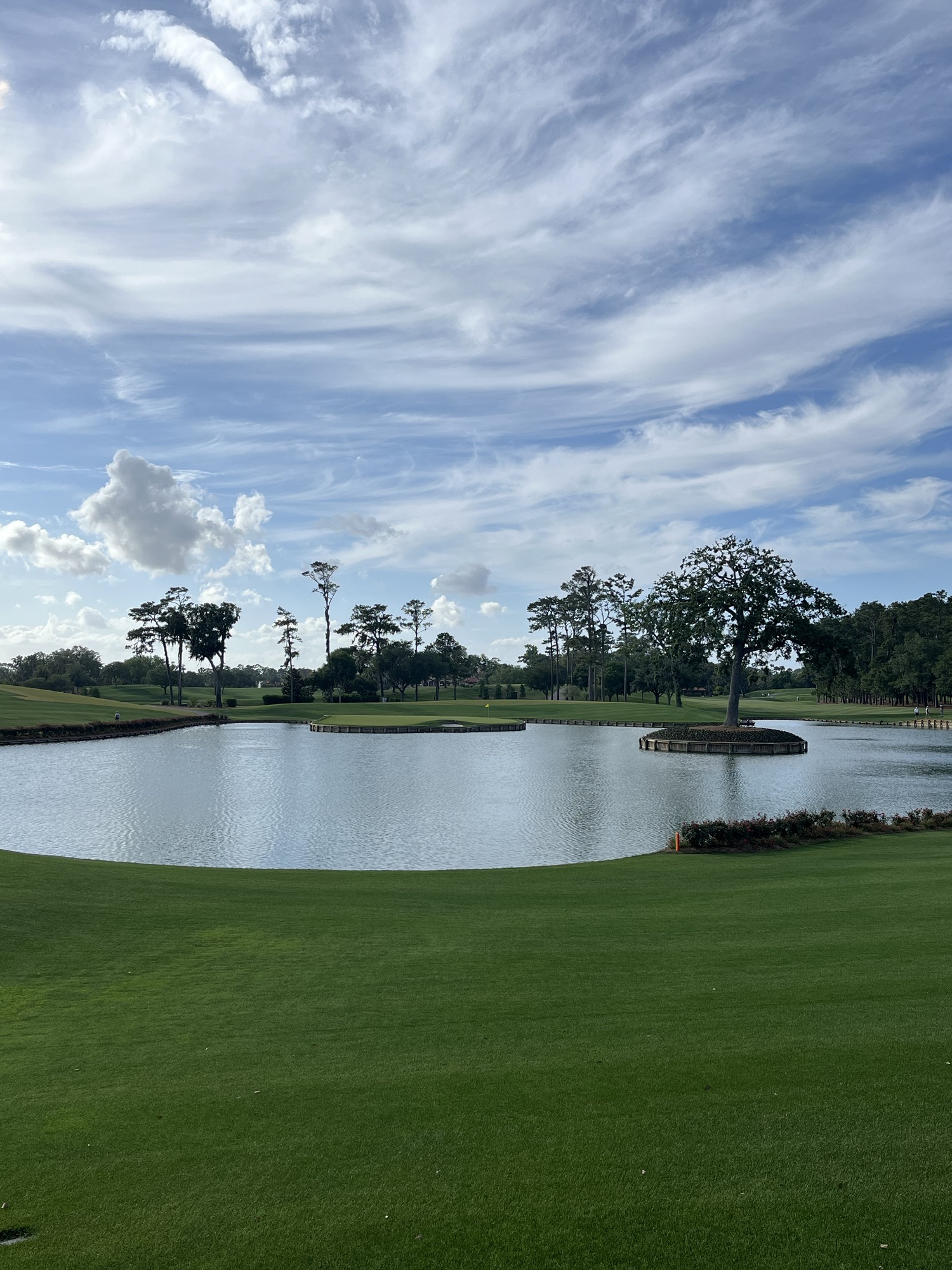 tpc florida 0030