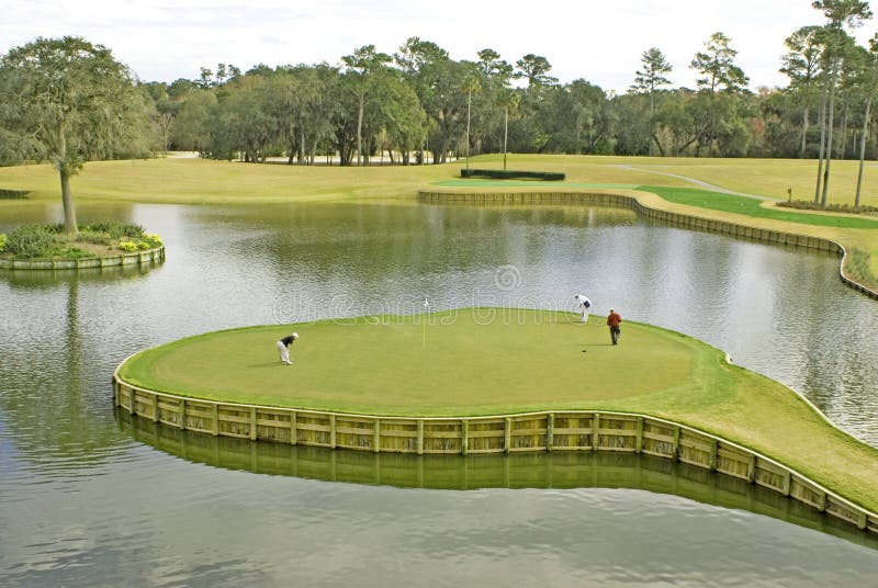 tpc florida 0035