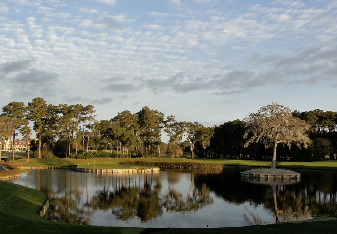 tpc florida 0041