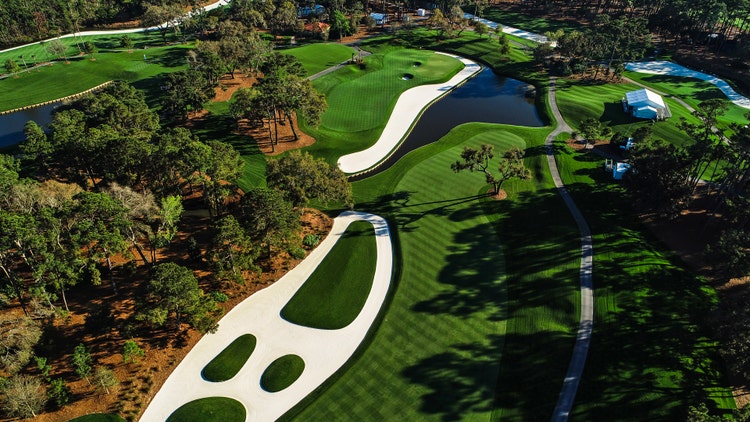 TPC Sawgrass hole 12 overview