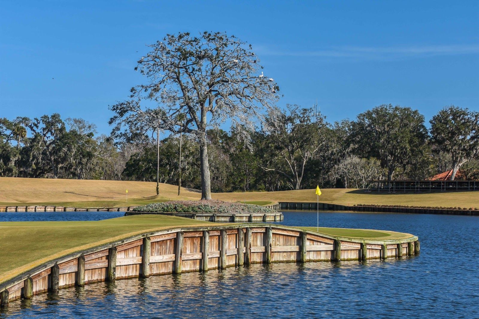 tpc sawgrass photos 0039