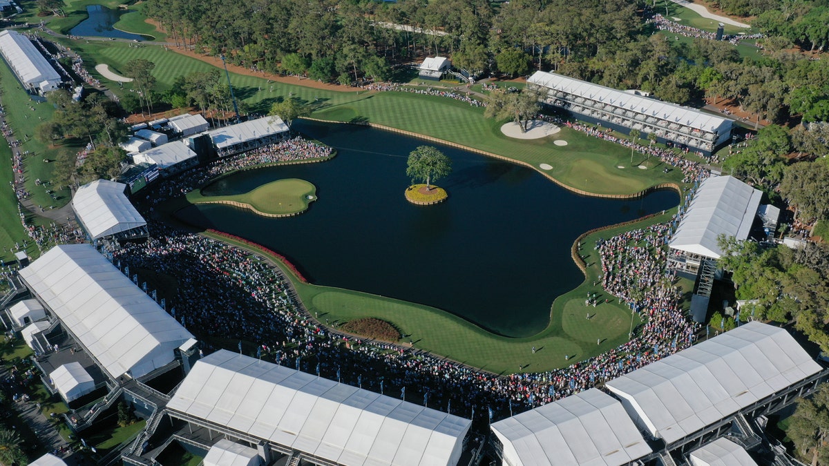 tpc sawgrass players 2024 0015