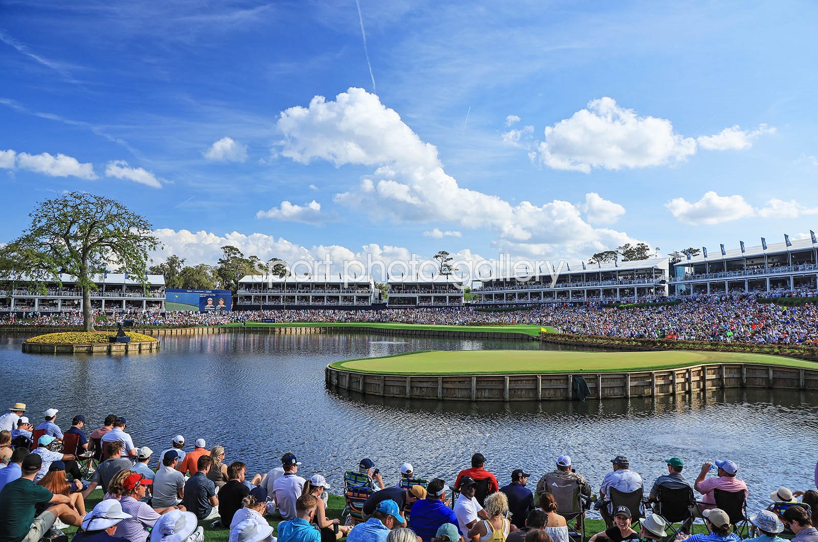 tpc sawgrass players 2024 0020