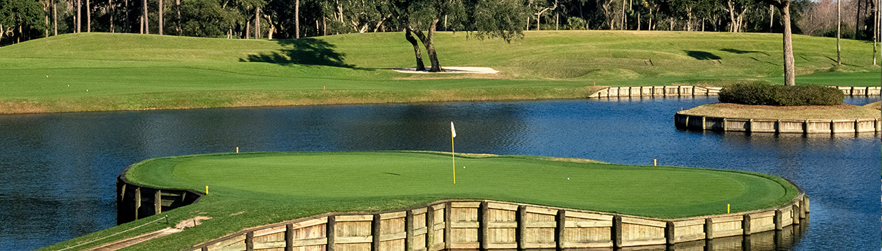 tpc sawgrass players 2024 0025