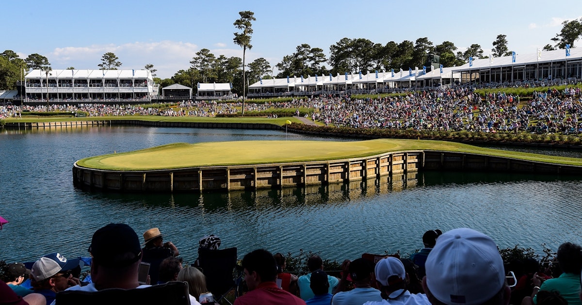 tpc sawgrass players 2024 0042