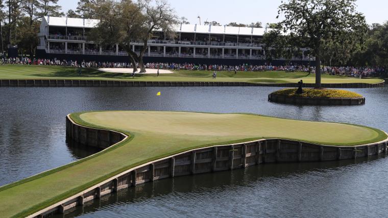 tpc sawgrass players 2024 0044