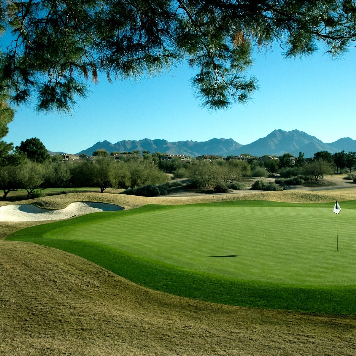 tpc scottsdale photos 0018