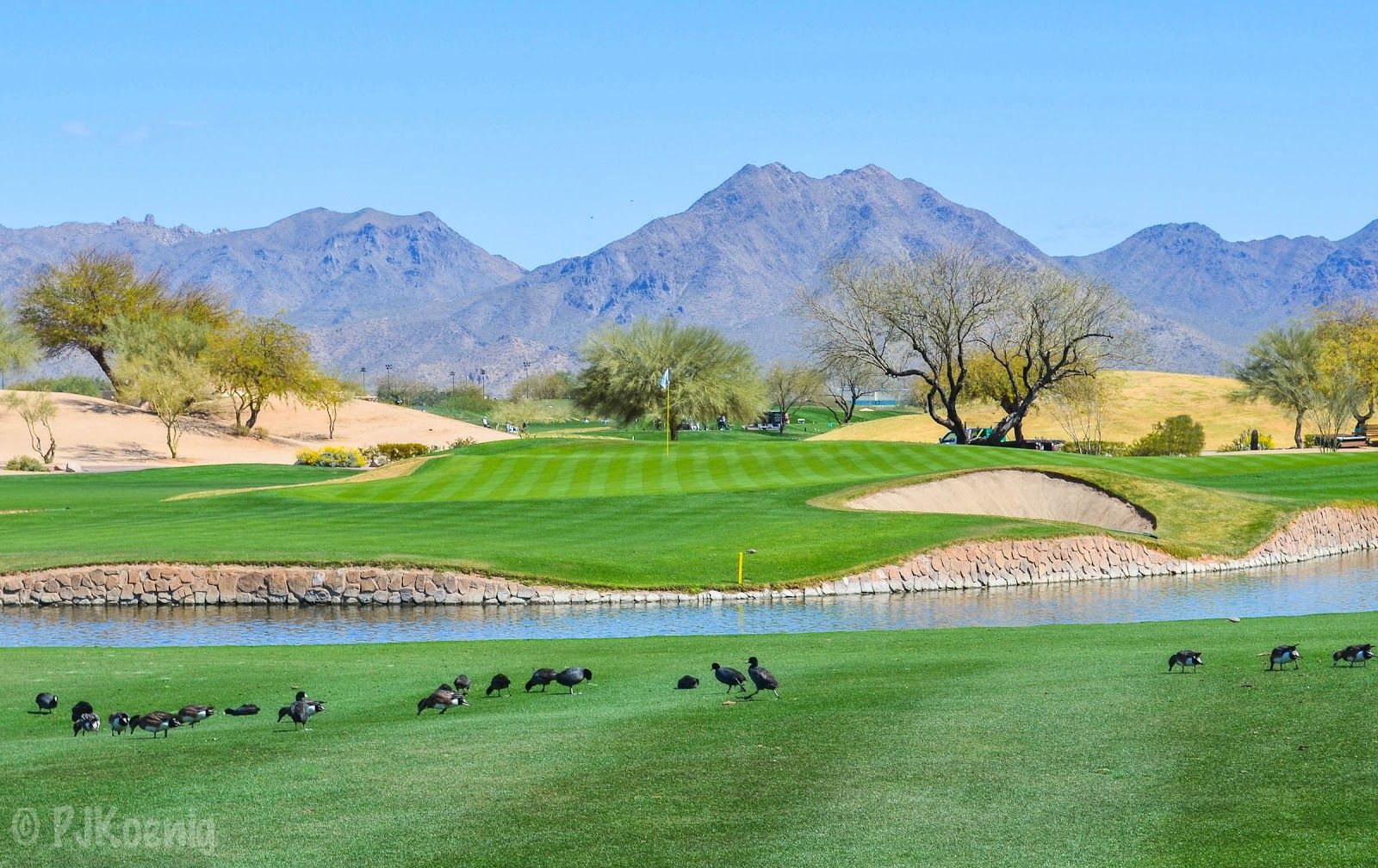 tpc scottsdale photos 0027