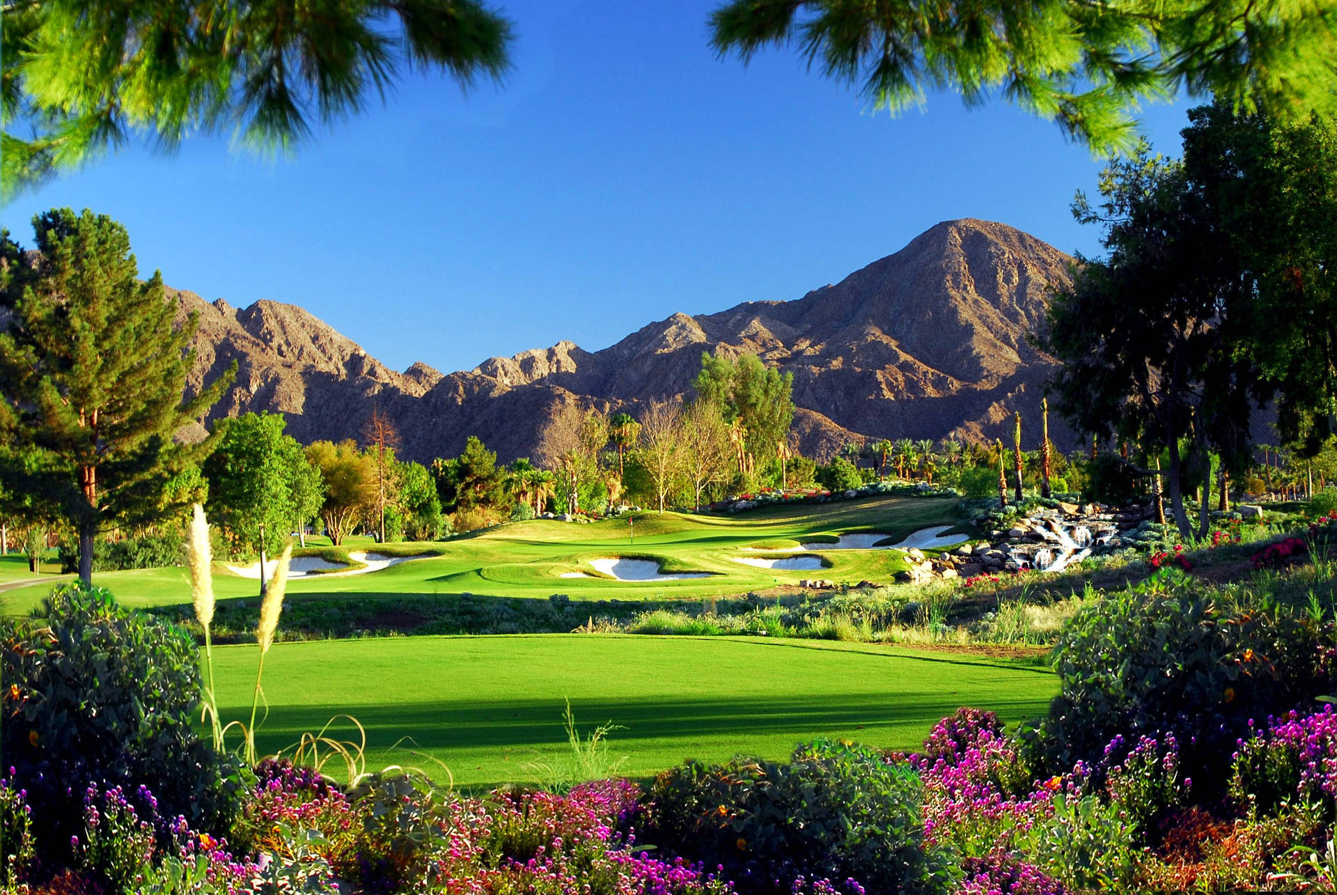 tranquil golf vistas