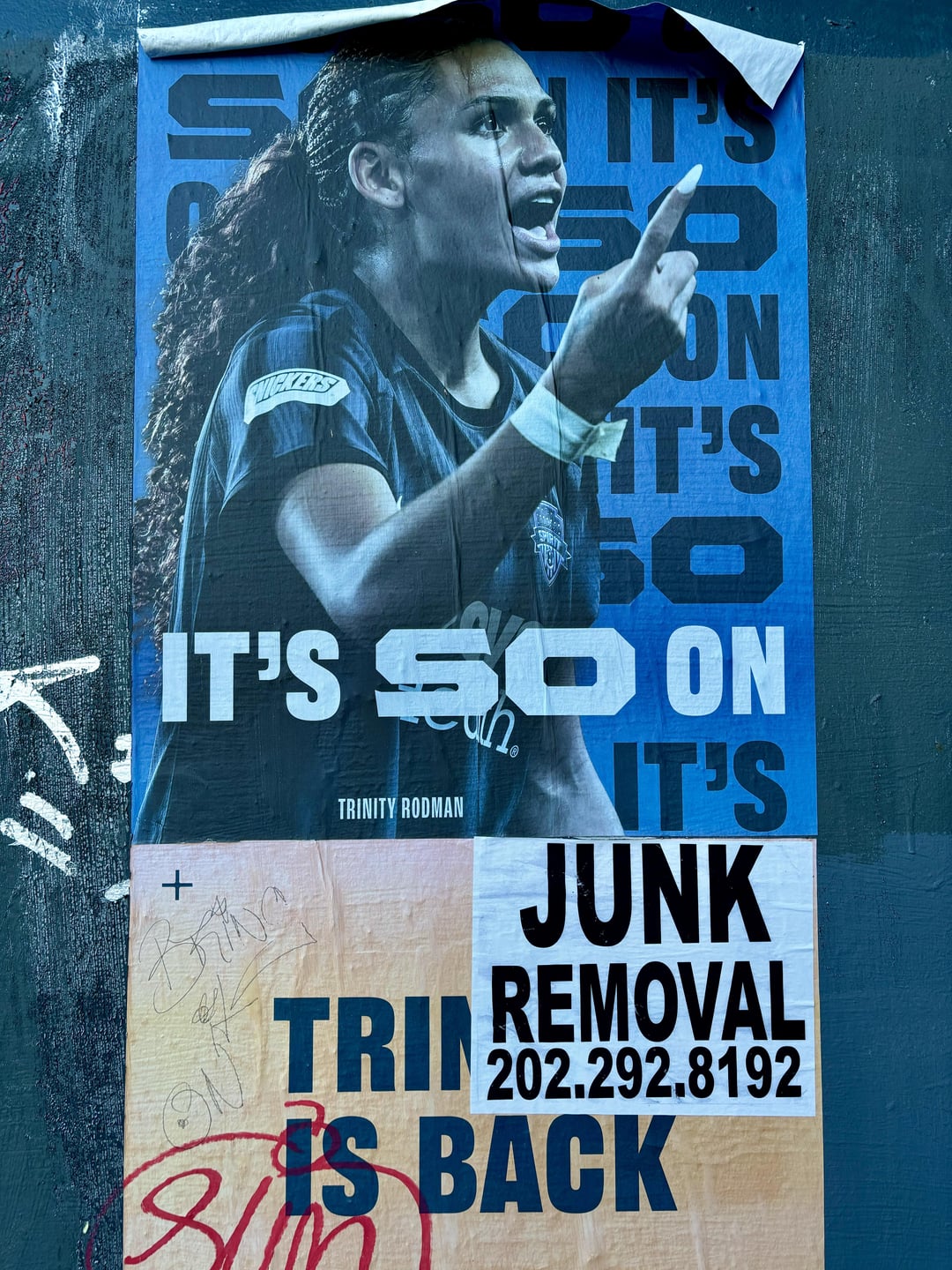 trinity rodman poster 0039