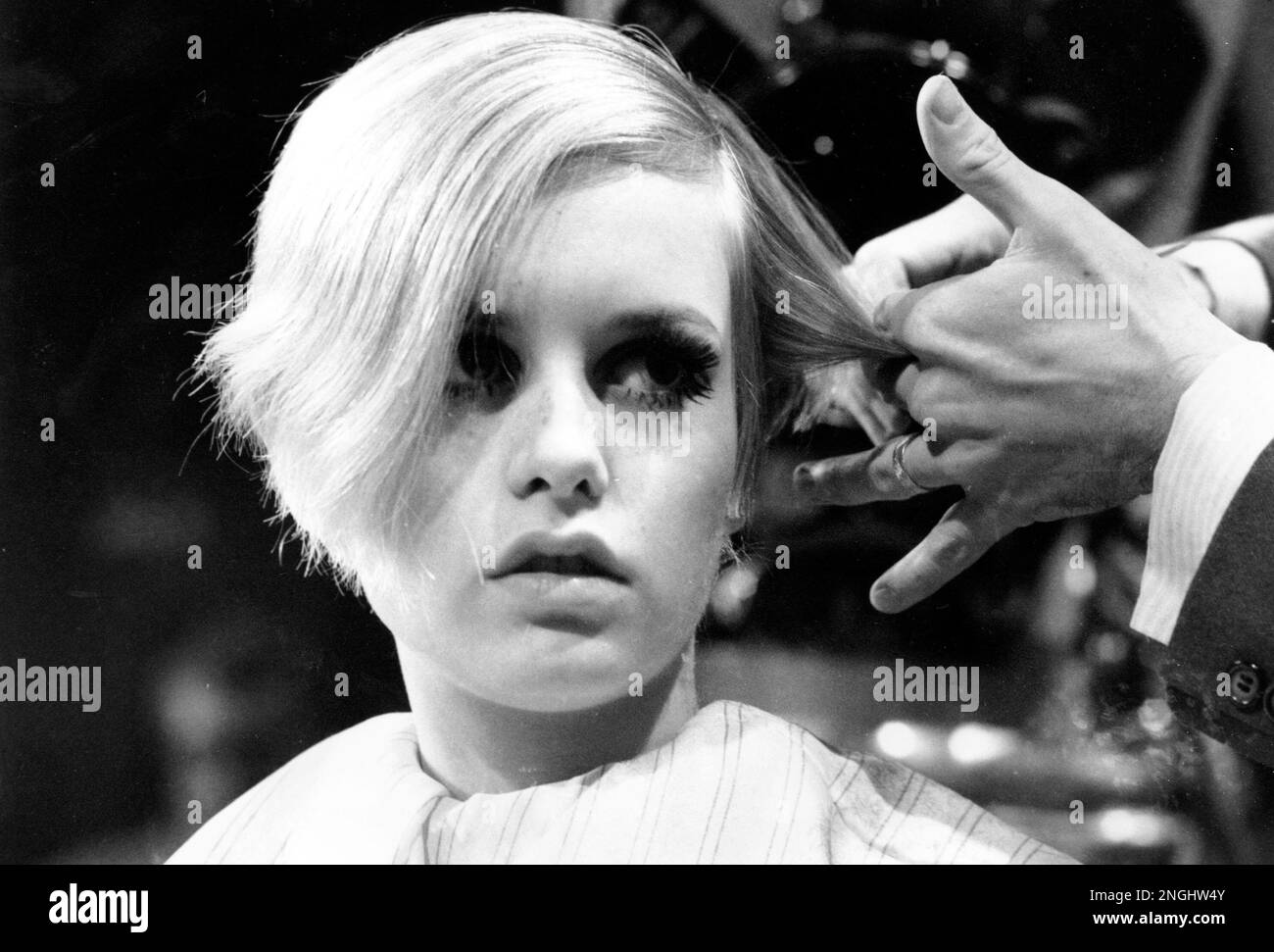 twiggy wig 0038
