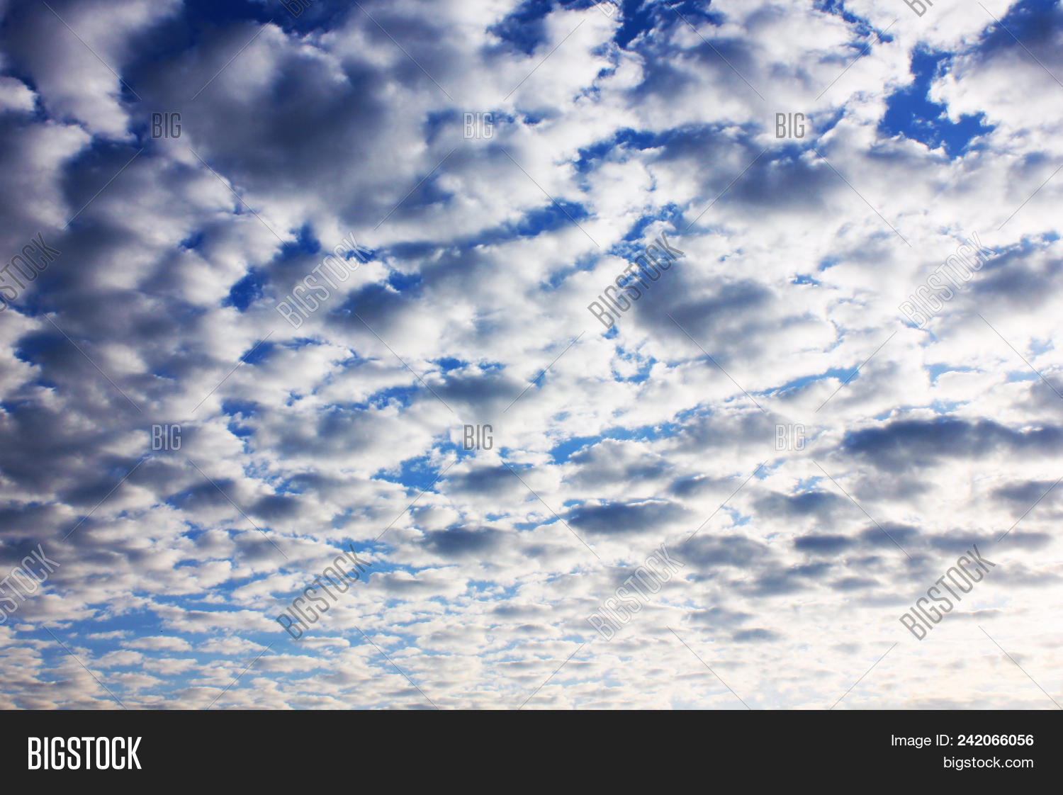 types of cloud services