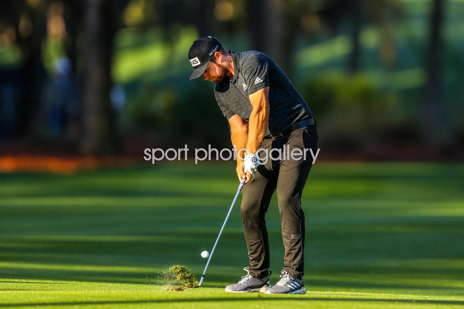 tyrrell hatton players championship 0034