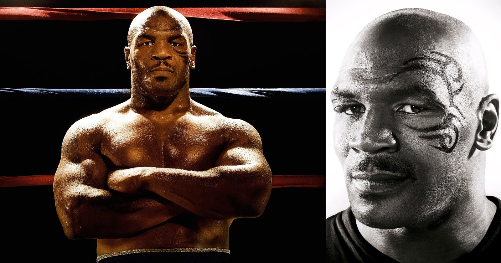 Tyson boxing photography