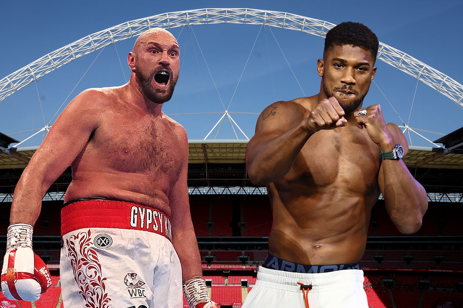 tyson fury 2022 0026