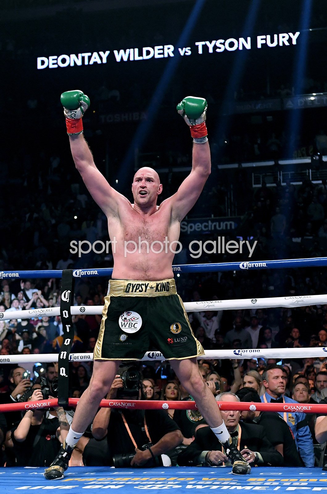 Tyson Fury boxing print