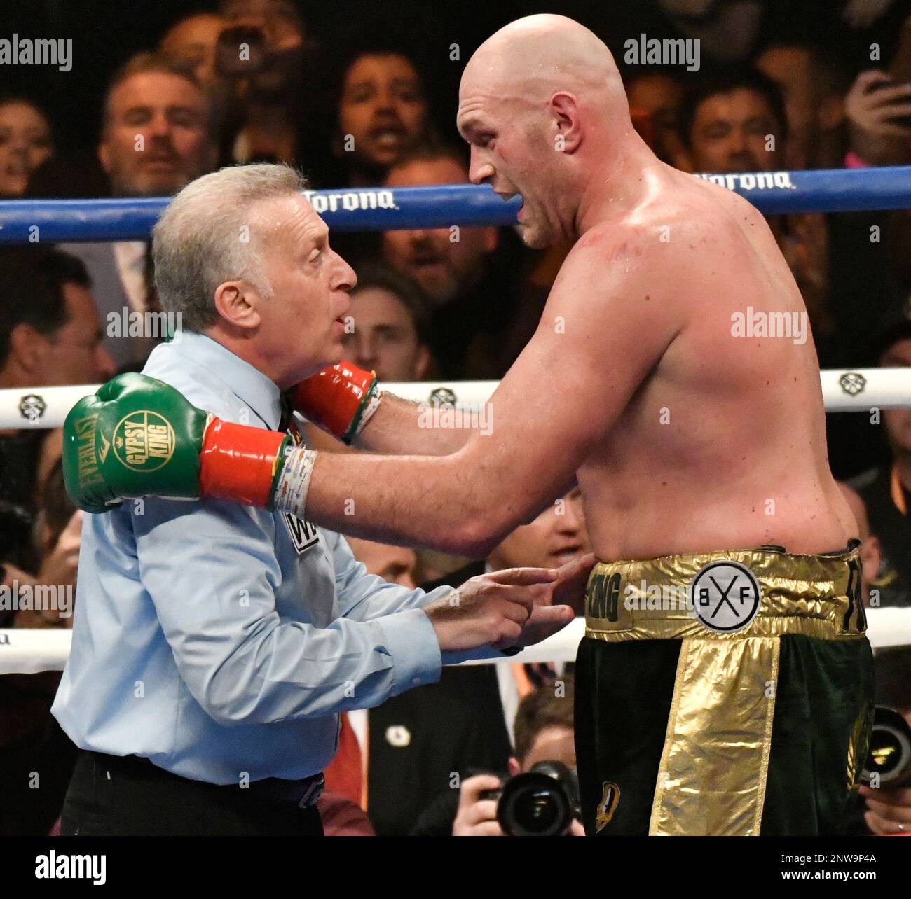 tyson fury draw 0016