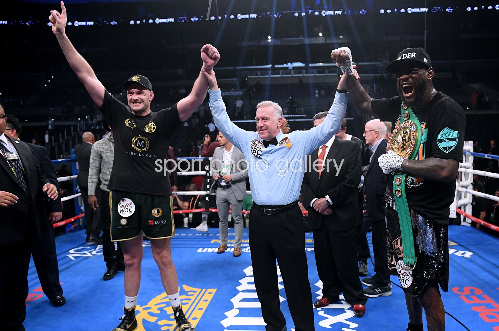 Tyson Fury fight results