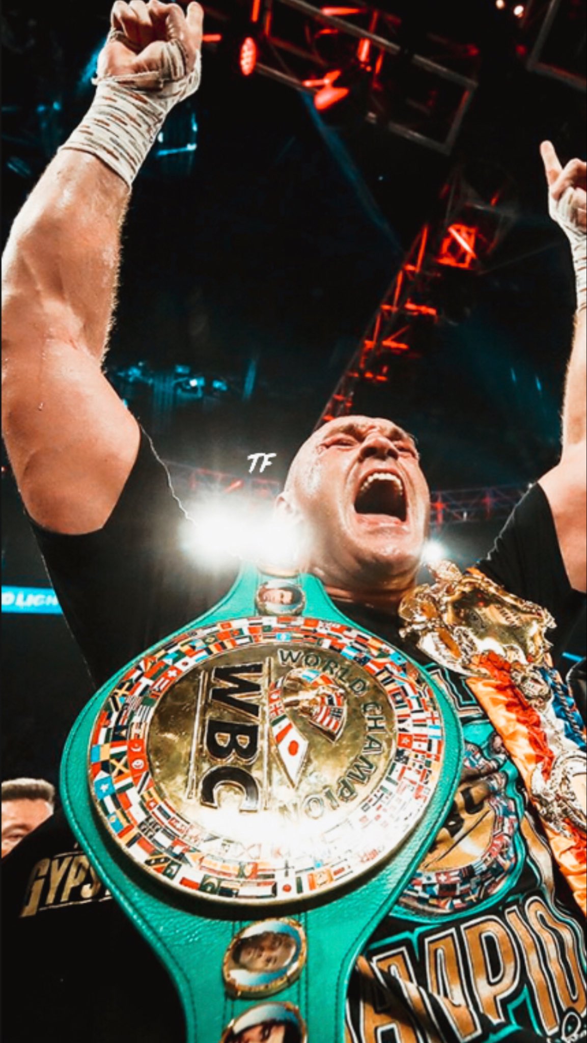 tyson fury motivational quotes.
